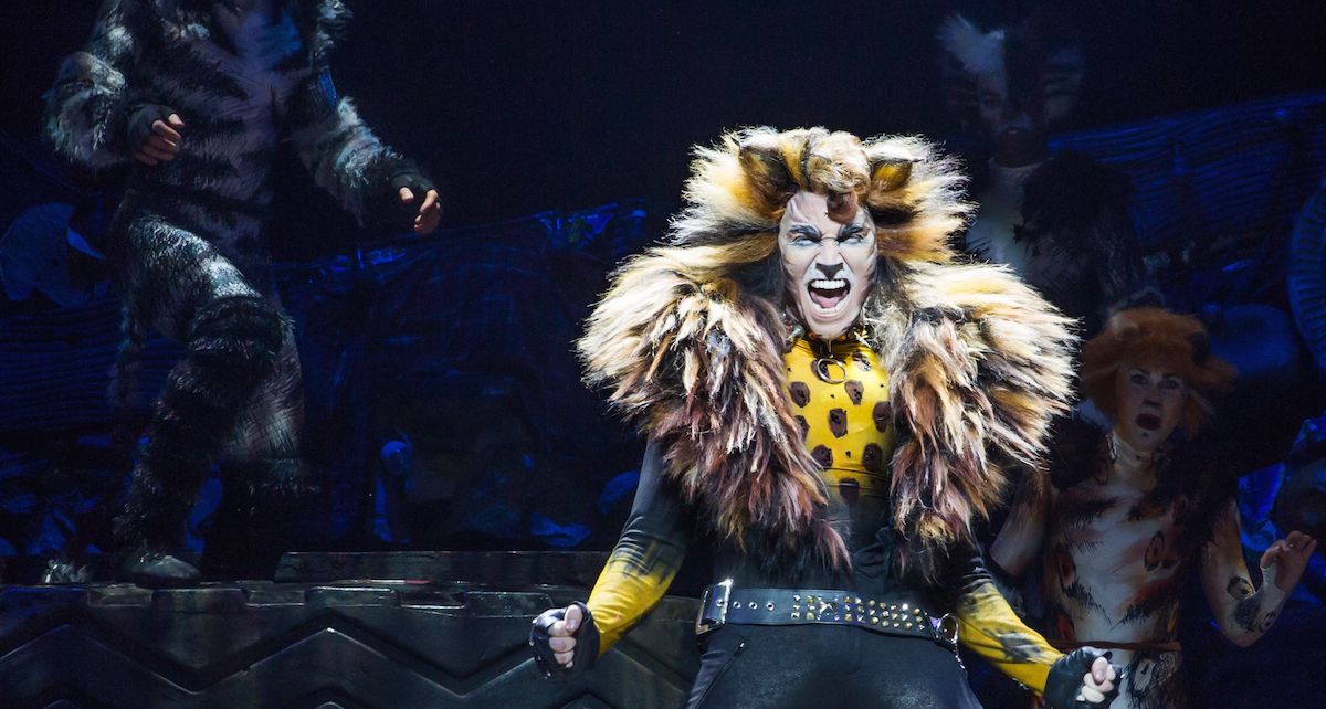 Tyler Hanes como Rum Tug Tugger en CATS on Broadway. Foto de Matthew Murphy