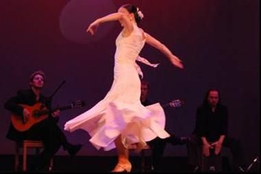 Flamenco - un fuego mundial