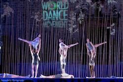Световното танцово движение празнува 10-та годишнина