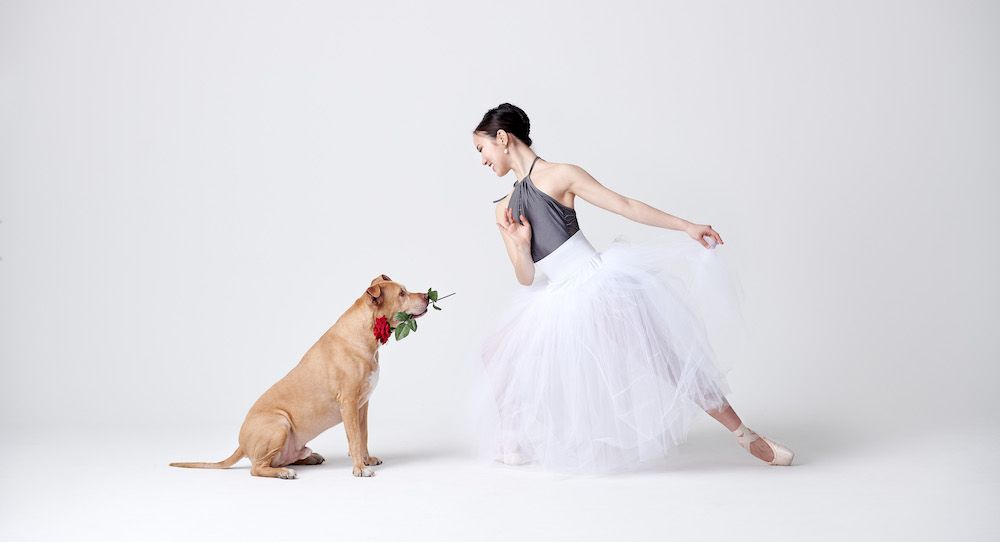 Proyecto de fotografía 'Danzantes y perros': ¿el mejor amigo de una bailarina?