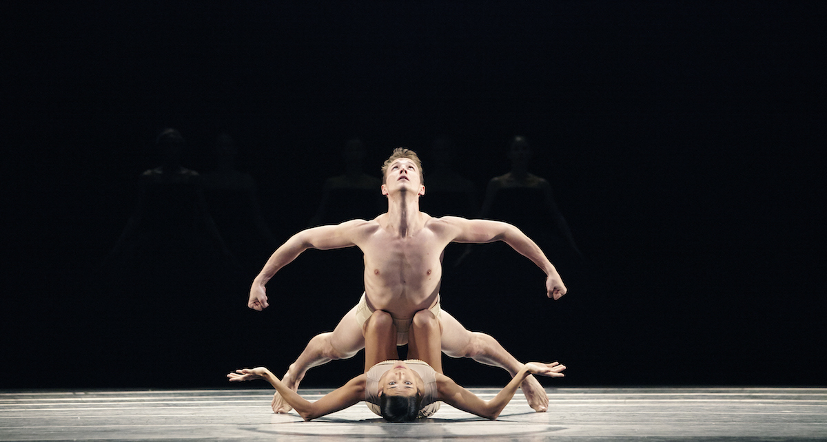 Un sentido de esperanza: Atlanta Ballet en 'Firebird'